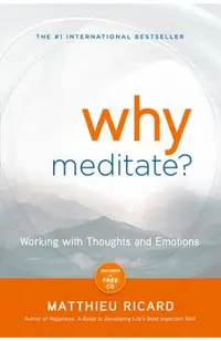 Why Meditate?