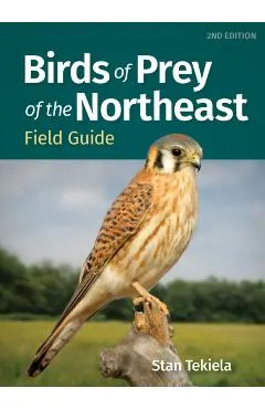 Birds of Prey of the Northeast Field Guide