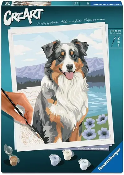 Set de pictat după numere Ravensburger CreArt - Ciobănesc australian
