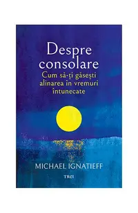 Despre consolare - Paperback brosat - Michael Ignatieff