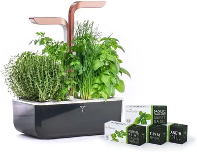 Gradină de casă Veritable - Smart, 9.5 W, 4 umpluturi,negru - cupru