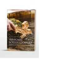 Sarbatoarea botezului Domnului. Perspectiva istorica. Elemente de teologie si de spiritualitate liturgica