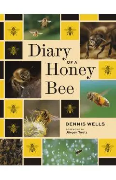 Diary of a Honey Bee