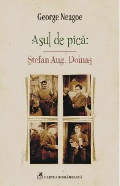 eBook Asul de pica. stefan Aug. Doinas
