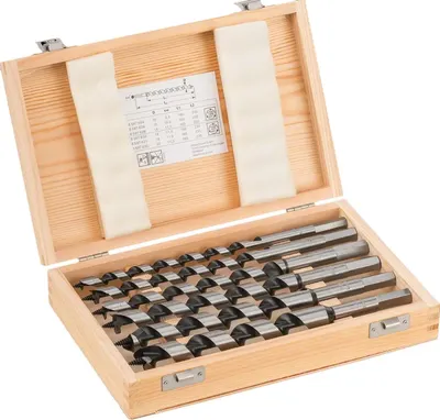 Set de burghie pentru șurubelniță Bosch - 6 piese