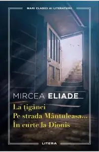 La tiganci. Pe strada Mantuleasa. In curte la Dionis