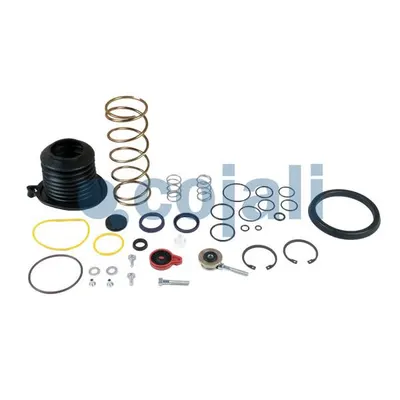Cojali 6032117