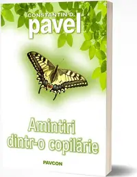 Amintiri dintr-o copilărie - Paperback brosat - Constantin D. Pavel