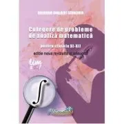 Culegere de probleme, analiza matematica pentru clasele 11-12