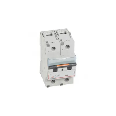 Siguranta automata MCB - DX³ - 25 kA - 2P - 230/400 V~ - 100 A - C curba