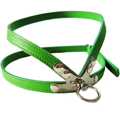 Pet Expert Ham Clasic Verde - pet-expert,nr-2