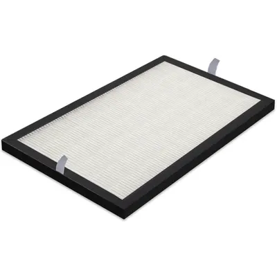 Filtru HEPA pentru Dezumidificatorul TROTEC TTK 99 HEPA