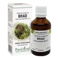 Extract Brad 50ml