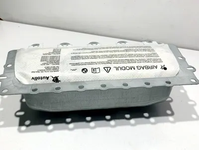 Airbag pasager 39923039901 BMW Seria 5 (2010-2017) [F10]