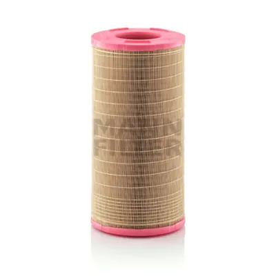Filtru aer MANN-FILTER C 25 978