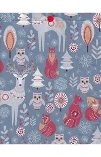 Husa pentru carte: Animale magice