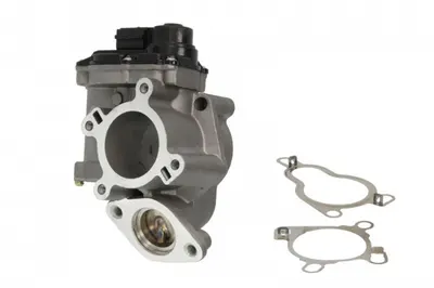 Supapa Egr Potrivit Nissan Primastar, Qashqai I, X-Trail Ii; Opel Vivaro A; Renault Espace Iv, Grand Scenic Ii, Koleos I, Laguna Ii, Laguna Iii, Megane Ii, Scenic Ii, Trafic Ii 2.0d 08.05