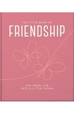 The Little Book of Friendship: For When Life Gets a Little Tough