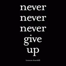 Magnet - Never Give Up