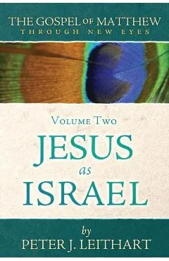 The Gospel of Matthew Through New Eyes Volume Two: Jesus as Israel