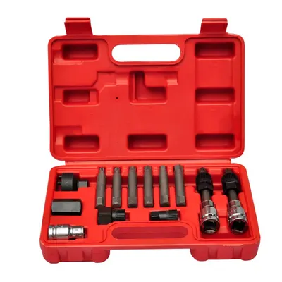 vidaXL Kit de scule pentru alternator