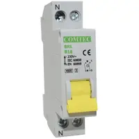 Intrerupatoare automate 4.5kA bipolar intr-un modul curba B 25/1N/B 25A