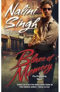 Blaze of Memory