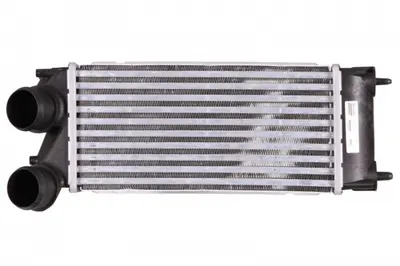 Intercooler Citroen Berlingo, C4 Ii, Ds4, Ds5; Peugeot 3008, 308 Cc, 308 I, 308 Sw I, 5008, Partner, Partner Tepee 1.2 1.6d Dupa 2008
