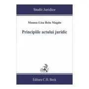 Principiile actului juridic