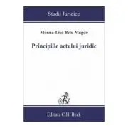 Principiile actului juridic