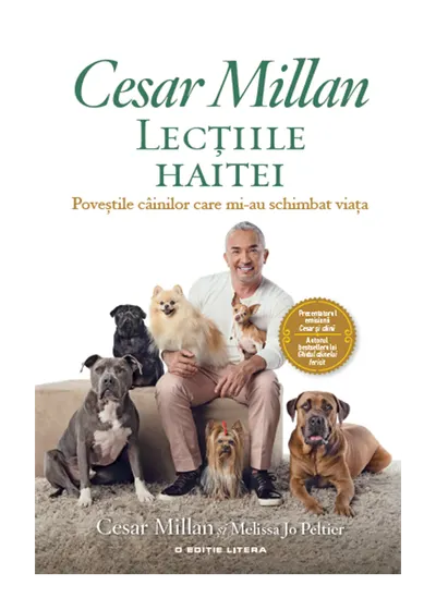 Lectiile haitei