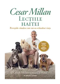 Lectiile haitei