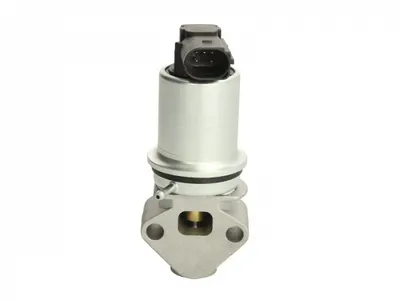 Supapa Egr Potrivit Audi A3; Seat Leon, Toledo Ii; Vw Golf Iv 1.8 09.96-06.06