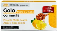 Sanavita Gola Caramelle Pastile de gât din plante, miere și lămâie, 24 buc, Paladin Pharma