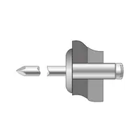 Pop-nituri Cap Extralat, Aluminiu/ Otel - 5 X 8