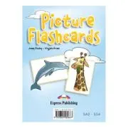 Curs limba engleza Set Sail 4. Picture flashcards