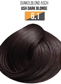 Vopsea Profesionala Fara Amoniac EVOQUE USA, Nuanta 6.1 ASH DARK BLONDE - Cu Ulei de Argan si 12 Aminoacizi, 100 ml - Evoque
