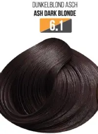 Vopsea Profesionala Fara Amoniac EVOQUE USA, Nuanta 6.1 ASH DARK BLONDE - Cu Ulei de Argan si 12 Aminoacizi, 100 ml - Evoque