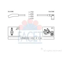 Set cablaj aprindere FACET 4.9568