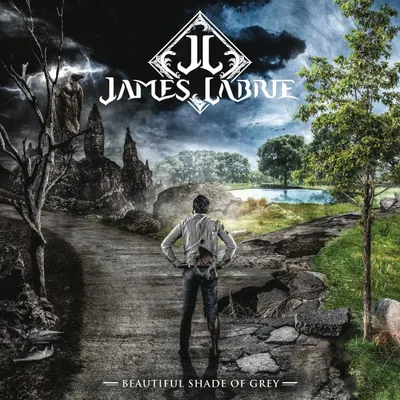 Beautiful Shade Of Grey - Vinyl