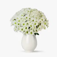 Buchet de 17 crizanteme albe
