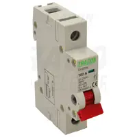 Intrerupator general TIK1-25 1P, 25A