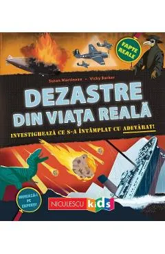 Dezastre din viata reala