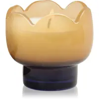 Paddywax Tulip Garden & Grove lumânare parfumată 155 g