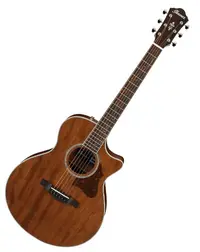 Chitară acustică Ibanez AE245JR Open Pore, Natural