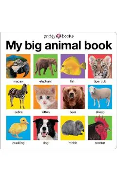My Big Animal Book