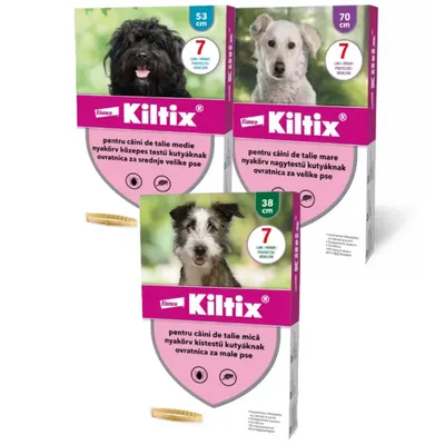 Kiltix Zgarda Caine - medie