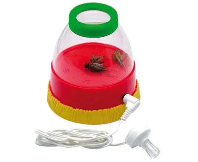 Observator pentru insecte cu lupă și cască audio
