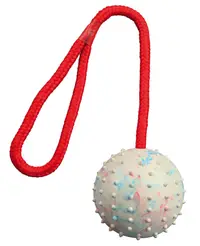 Jucarie Minge Cauciuc 7 cm cu Sfoara 30 cm 3308