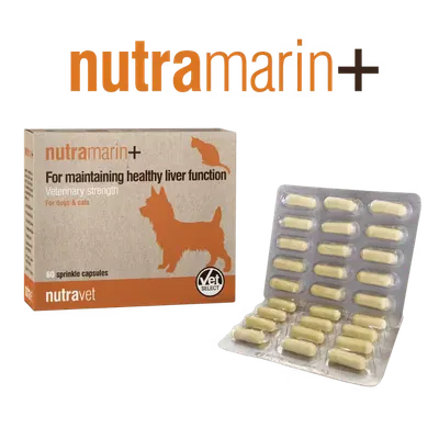 Nutravet Nutramarin+, 60 capsule
